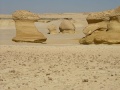 From our expedition
