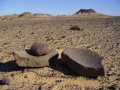 From our expedition
