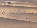 From our expedition