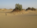From our expedition