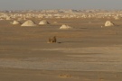 From our expedition