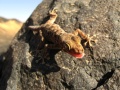 From our expedition