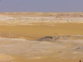 From our expedition