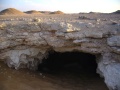 From our expedition