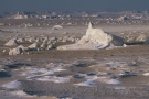 From our expedition