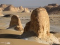 From our expedition