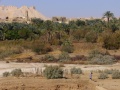 From our expedition
