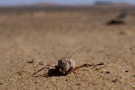 From our expedition