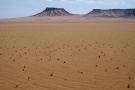 From our expedition