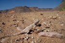 From our expedition