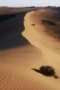 From our expedition