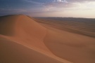 From our expedition