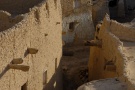 From our expedition