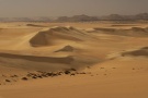 From our expedition