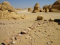 From our expedition