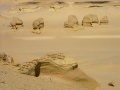 From our expedition